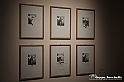 VBS_1295 - Castello di Miradolo - Mostra Oltre il giardino l'Abbecedario di paolo Pejrone